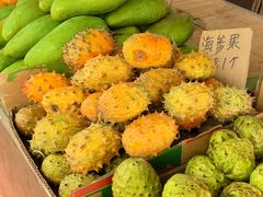 -西双版纳原始森林公园