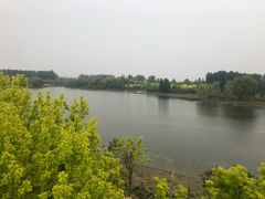 -东郊湿地公园