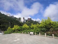 -华侨城湿地公园