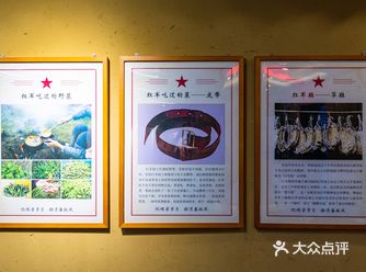 温州苍南旅行〡品尝特色“南山头红军饭”