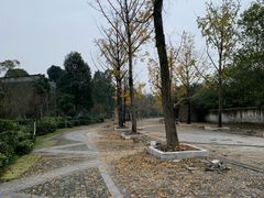 -青城道汤池