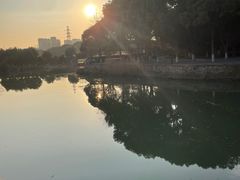 -苏州本色美术馆