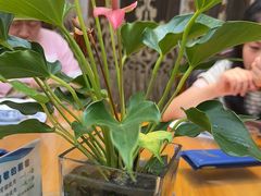-小小饭店·休闲农庄·安吉松树林里的农家菜