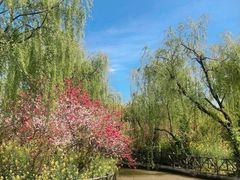 -南汇桃花村