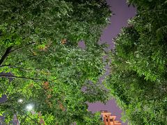 -東更道点心行(文化东路店)