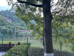 -重庆医科大学附属第一医院(金山院区)