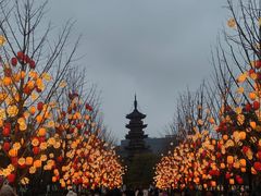 -龙华寺