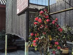 -总统兵马大元帅府