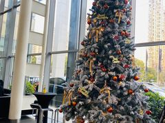 -上海德星奔驰(江杨南路店)