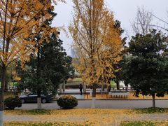 -武汉大学图书馆·文理学部总馆