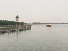 -溱湖国家湿地公园