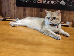 -凯德广场(武胜路店)