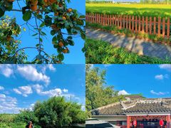 -莲花岛景区