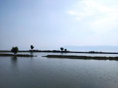 -大理洱海