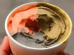 -Dip in Gelato(富民路店)