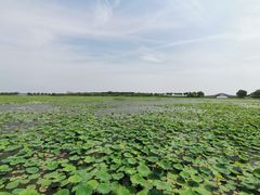 -天津东丽湖风景区