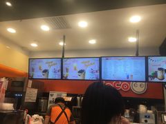 -CoCo都可(铁西万达店)