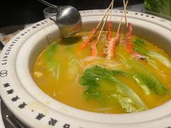 -领鲜天下·焗海鲜·花胶鸡(天目里店)