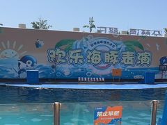 -秦皇岛新澳海底世界