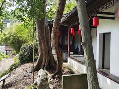 -上海醉白池公园