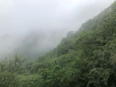 -阳台山自然风景区