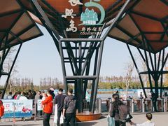 -上海长兴岛郊野公园