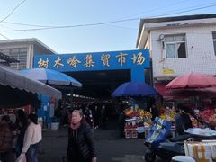 -树木岭集贸市场(劳动东路)