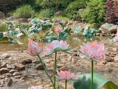 -茅山东方盐湖城景区