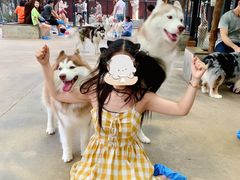 -TrueLove @ Neverland (Husky Cafe)