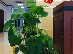 -中国中医科学院望京医院(院本部)