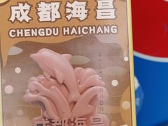 -海合安成都极地海洋公园