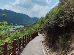 -羚羊峡古栈道森林公园