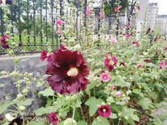 -南宫温泉水世界