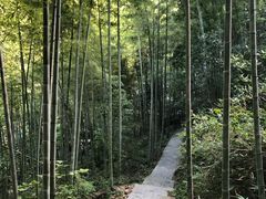 -山沟沟景区