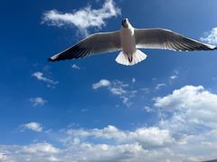 -丽江泸沽湖景区