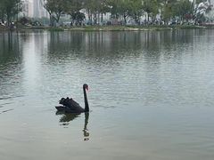 -武汉动物园