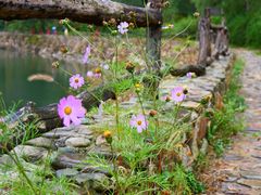 -大连天门山国家森林公园