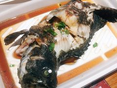 石斑鱼-盒马鲜生(红莲店)