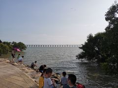 -宝安西湾红树林湿地公园