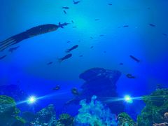 -海合安成都极地海洋公园