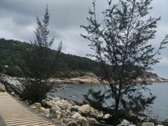 -广东惠东海龟国家级自然保护区