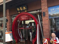 -新加坡佛牙寺龙华院