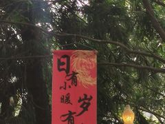 -雀舞云南菜(天津天河城购物中心店)
