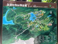 -深圳仙湖植物园