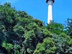 -龟山风景区-龟山电视塔