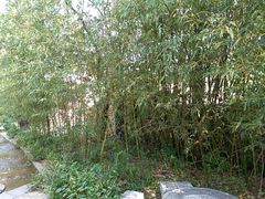 -竹泉村旅游度假区