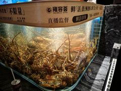 -成都银泰中心in99