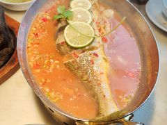 -佬肥猫(国华广场店)