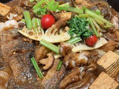 -老板恋上鱼(恒隆广场店)