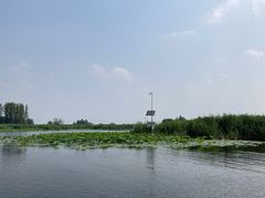 -白洋淀景区